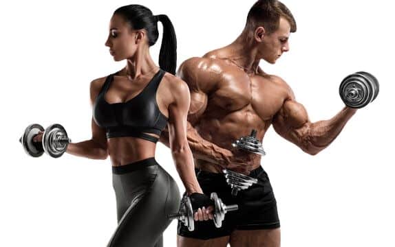 Free Gym Workout Plan for Beginners